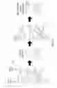Fig. 93 - Rarity analysis in network security anomaly/threat detection