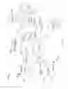 Fig. 03 - Polymorphic obfuscation of executable code