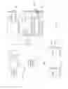Fig. 06 - Polymorphic obfuscation of executable code