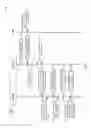 Fig. 07 - Secure binding of software application to communication device
