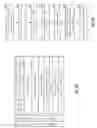 Fig. 21 - Check operation dispersed storage network frame