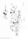Fig. 02 - Local retrieving and caching of content to small cells