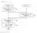 Fig. 13 - Image processing system and storage medium
