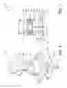 Fig. 03 - Method of assembling camera for vehicle vision system
