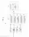 Fig. 04 - Display control apparatus to perform predetermined process on captured image