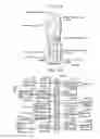 Fig. 48 - Image decoding method, image coding method, image decoding apparatus, image coding apparatus, and image coding and decoding apparatus
