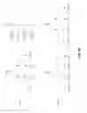 Fig. 13 - Channel line buffer data packing scheme for video codecs