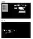 Fig. 13 - PLANNED VIDEO PRODUCTION SYSTEM WITH FEEDBACK