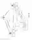 Fig. 22 - Methods and apparatus to conditionally authorize content delivery at broadcast headends in pay delivery systems