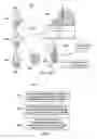 Fig. 05 - Integration of image/video pattern recognition in traffic engineering