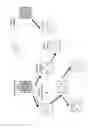 Fig. 01 - PCP HANDOVER IN A MESH NETWORK AFTER A CHANGE OF ROLE OF A STATION ASSOCIATED WITH A FIRST NODE RECEIVING FROM ANOTHER NODE AN INDICATION OF ASSOCIATION