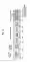 Fig. 04 - Method for configuring reference resource of channel state information in wireless communication system and apparatus therefor