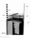 Fig. 43 - Immersion cooling system with low fluid loss