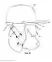 Fig. 06 - Headwear Interface for Animals