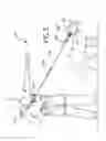 Fig. 06 - CANINE HANDLING APPARATUS
