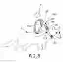 Fig. 09 - CANINE HANDLING APPARATUS