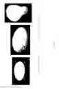 Fig. 03 - Antimicrobial alcohol foam compositions and methods of preparation
