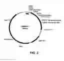 Fig. 03 - Compositions and methods for improving post-harvest properties of agricultural crops