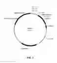 Fig. 04 - Compositions and methods for improving post-harvest properties of agricultural crops