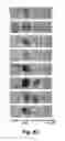 Fig. 12 - Compositions and methods for improving post-harvest properties of agricultural crops