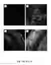 Fig. 16 - Compositions and methods for improving post-harvest properties of agricultural crops