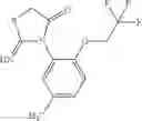 Fig. 204 - Molecules having pesticidal utility, and intermediates, compositions, and processes, related thereto