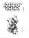 Fig. 08 - ANTIMICROBIAL COMPOSITIONS AND METHODS AND USES THEREOF