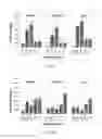 Fig. 09 - DRYING OF FOODSTUFFS
