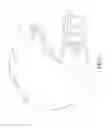Fig. 04 - Protective Helmet