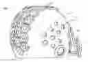 Fig. 01 - SPORTS HELMET WITH COLLAPSIBLE MODULAR ELEMENTS
