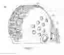 Fig. 06 - SPORTS HELMET WITH COLLAPSIBLE MODULAR ELEMENTS
