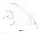 Fig. 09 - Safety glasses deployment system