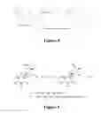 Fig. 04 - Green technology for crosslinking protein molecules for various uses