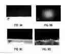 Fig. 07 - NANOBRUSHES AND METHODS OF MANUFACTURE AND USE