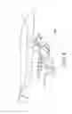 Fig. 08 - Ergonomic seating assemblies and methods