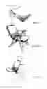 Fig. 10 - CUSHION