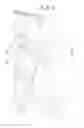 Fig. 08 - Mattress insert