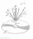 Fig. 01 - SKEWER SYSTEM