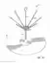 Fig. 08 - SKEWER SYSTEM