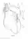 Fig. 05 - Drinking cup having an adjustable handle