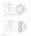 Fig. 15 - FILTER ASSEMBLY FOR A SURFACE CLEANING APPARATUS