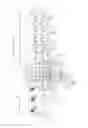 Fig. 02 - Conveyor dishwasher having a sensor device for detecting the concentration of disinfectant