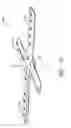 Fig. 04 - Adapter and spray assembly for a dishwasher appliance