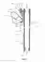 Fig. 06 - Endoscope accessory