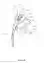Fig. 35 - Endoscope accessory