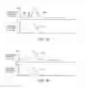 Fig. 05 - METHOD OF REMOVING AN INFLATED IMPLANT FROM A BLADDER