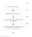 Fig. 04 - Device and method to quantify vitreous opacity impairment