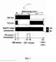 Fig. 08 - REVERSIBLY SWITCHABLE PHOTOACOUSTIC IMAGING SYSTEMS AND METHODS