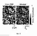 Fig. 12 - REVERSIBLY SWITCHABLE PHOTOACOUSTIC IMAGING SYSTEMS AND METHODS