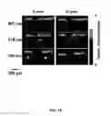 Fig. 17 - REVERSIBLY SWITCHABLE PHOTOACOUSTIC IMAGING SYSTEMS AND METHODS
